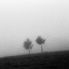 Inverto