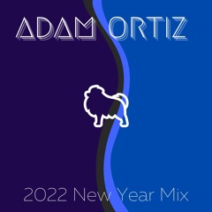 Adam Ortiz - New Years Day Solo Mix