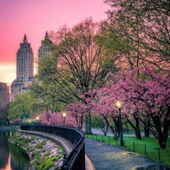 Don't Wait Too Long...