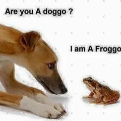 0201 - Designated Solver - 1