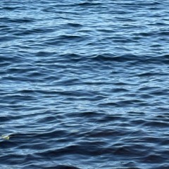 Small Waves Upon the Water
