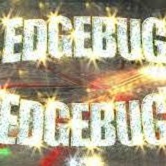 EDGE BUG MOMENTO
