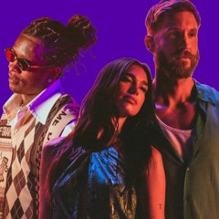 Calvin Harris ft. Dua Lipa & Young Thug - Potion (Dibby Upbeat House Edit)