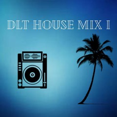 NIITOO DLT - House Mix #1