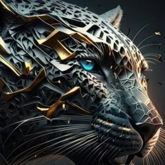 Tuesday turmoil !!!!