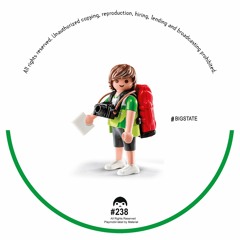 Bigstate - False Flag (PLAYMOBIL238)