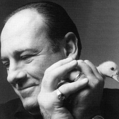 Sopranos Theme Feat. Matt Duffy