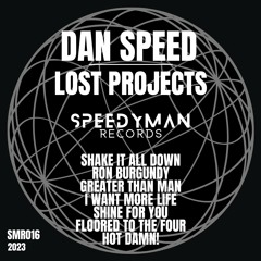 Dan Speed - Shake It All Down