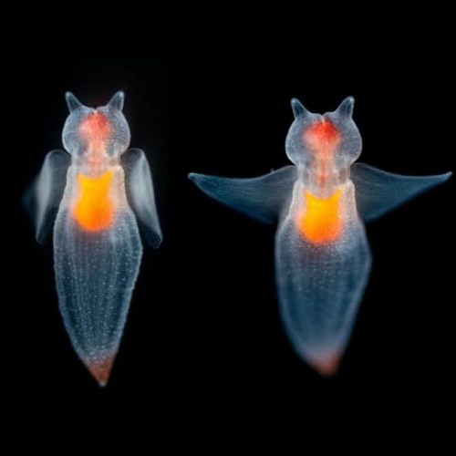 Mirrored Itch w General Data & Deep Departure 023 - 14/02/23