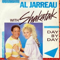 S & AJ - day by day (mikeandtess quick edit)
