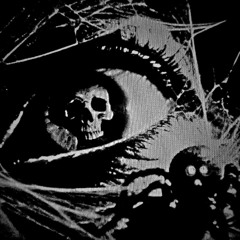 spider interlude