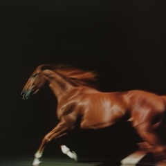 IF…LABELS….CALL….“NO!”