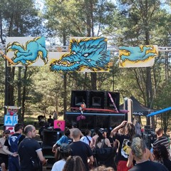 DJ Sets