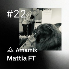Amamix 22 - Mattia FT