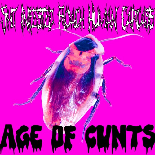 Age Of Cunts