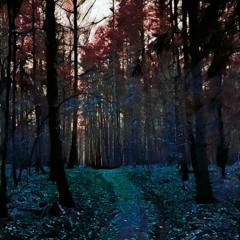 Critical_mess - Forest will life forever ( forest/dark forest psychedelic trance DJ SET )
