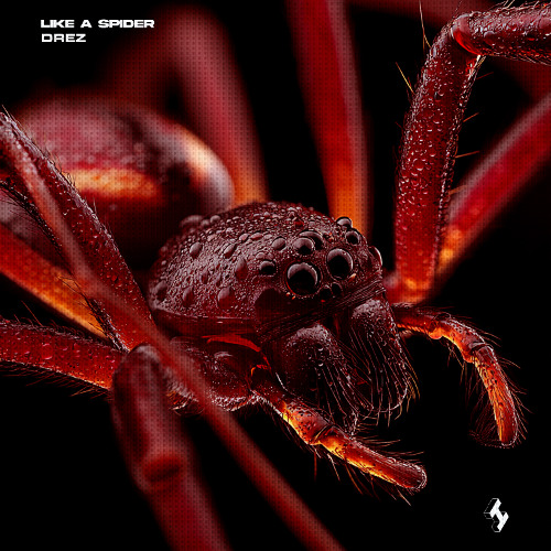 DREZ - LIKE A SPIDER [INFLUENCE RECORDS]