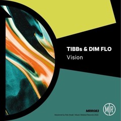 PremEar: TIBBs & DIM FLO - Vision [MRR083]