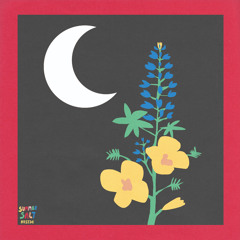 Strawberry Sunrise (feat. Ruru)