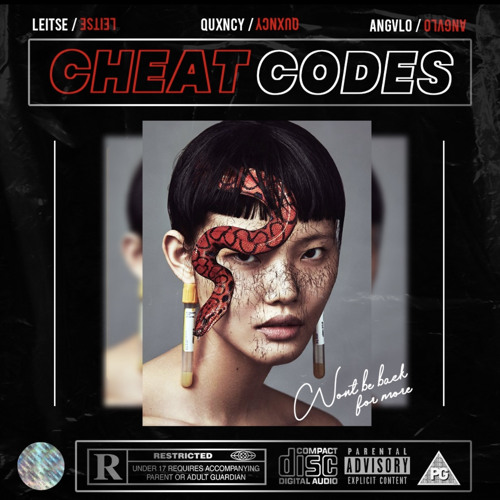 Leitse  &  Quxncy Cheat Codes Ft Angvlo