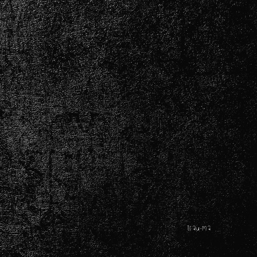 A L V S M - Stage 1 (Original Mix) [TRM307]