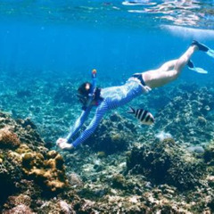 Best Snorkeling Lauderdale By The Sea Prices Reviews