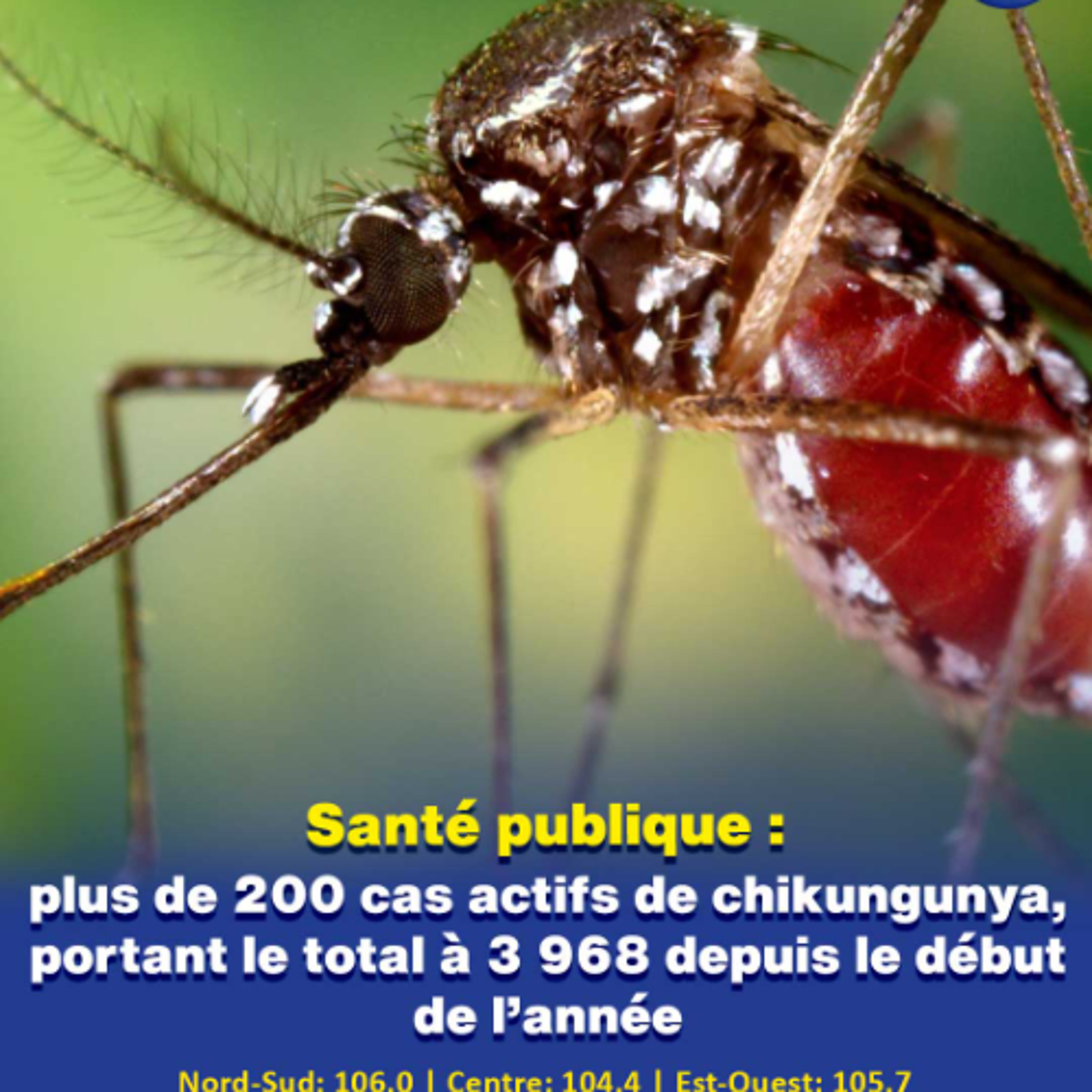 Santé publique : plus de 200 cas actifs de chikungunya, portant le total à 3 968 depuis le début de l’année