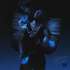 King Quice - Splitting the Chrysalis