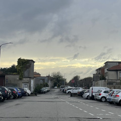 Perfect days (i nonni non l’hanno visto)