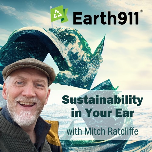 Earth911 Podcast: Andrea Ferris on Making Polyester Biodegradable with CICLO