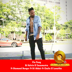 Pin Pong (feat. Chulin El Lunatiko, DJ Aldair & Diamond Danger)