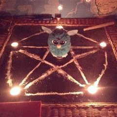 Purple Gusher Butterfly