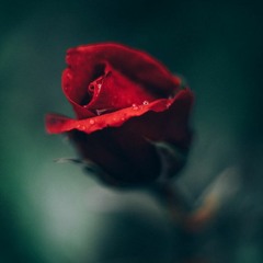 Back to Back - Drake | Louis the Child | Whethan