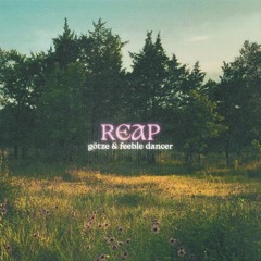 Reap (götze & Feeble Dancer)