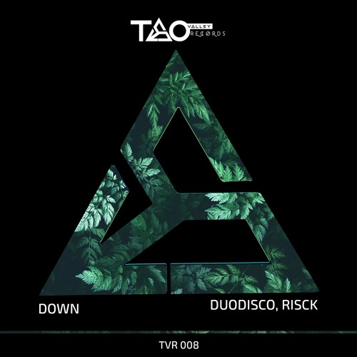 Duodisco, Risck - Down (Original Mix) [TAO VALLEY RECORDS]