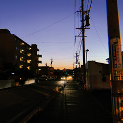 Project 317