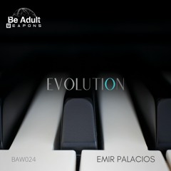 Emir Palacios - Karuna (Original Mix)