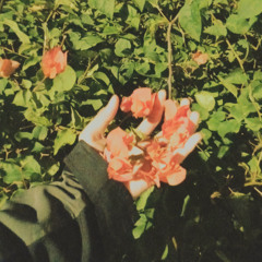 roses are red, so does your dress