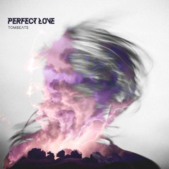 TomBeats - Perfect Love (Extended Mix)