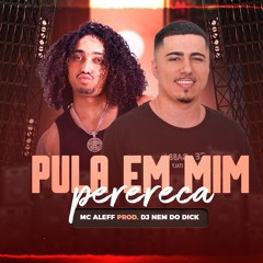 XXX PULA EM MIM PERERECA MC ALEFF ( DJ NEM DO DICK)
