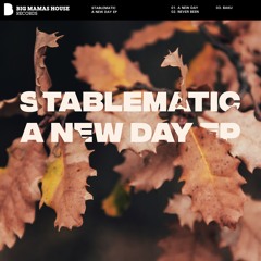 Stablematic - Never Been