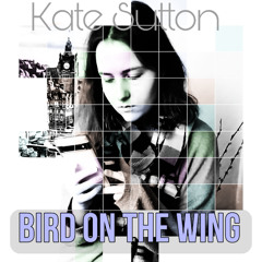 Bird on the wing.