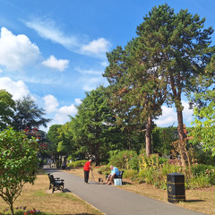 Yankee Bayonet decemberists cover performed and recorded by ruhubarb hatstand