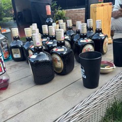 BAILOTERAPIASERIA FLOW LS🐎💫.wav