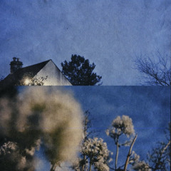 HT - decay (hyde)