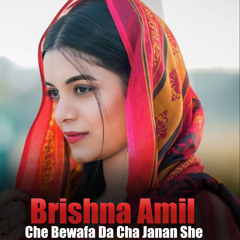 Stream Zama Da Toro Zulfo Wal De by Brishna Amil | Listen online ...