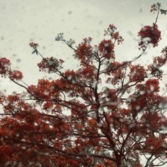 Can't Help Falling in Love - [Cover]