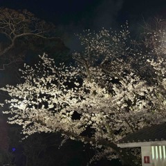 ペテン師 (Prod. clozz)