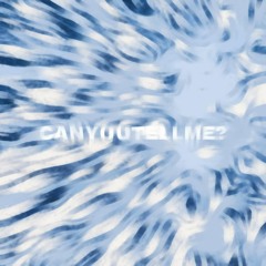 Adrián Mills - CANYOUTELLME? (Free Download)