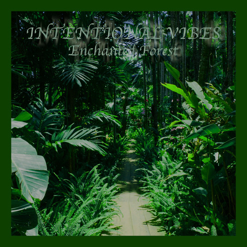 Enchanted Forest
